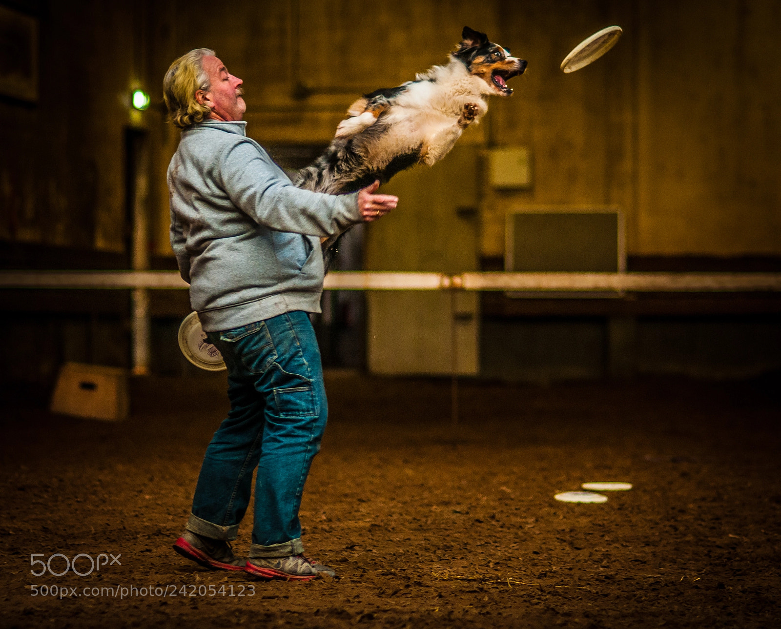 Nikon D300S sample photo. Frisbee photography