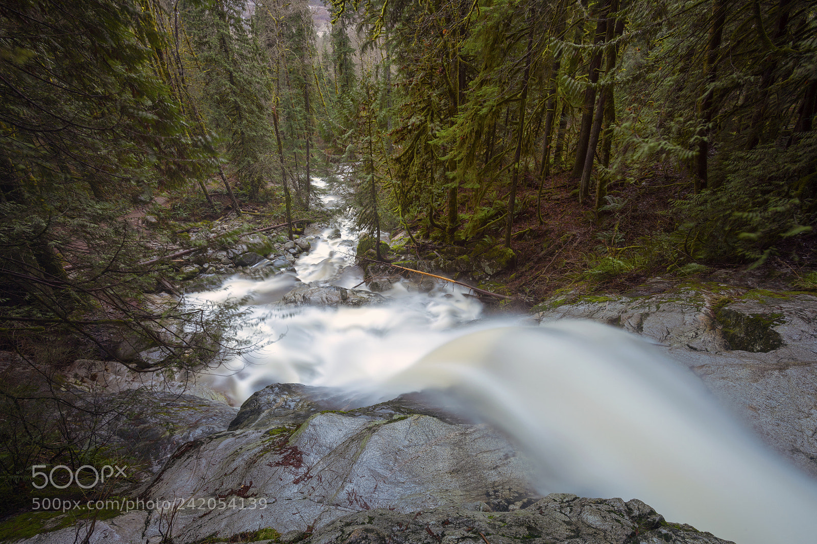Nikon D850 sample photo. Crystal way photography