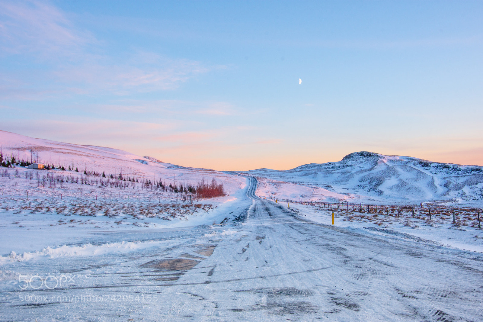 Nikon D7200 sample photo. Winter photography