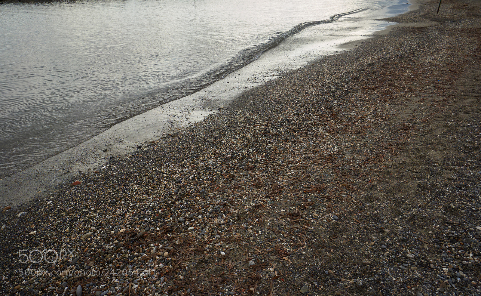 Sony Alpha NEX-7 sample photo. Liquid shapes photography
