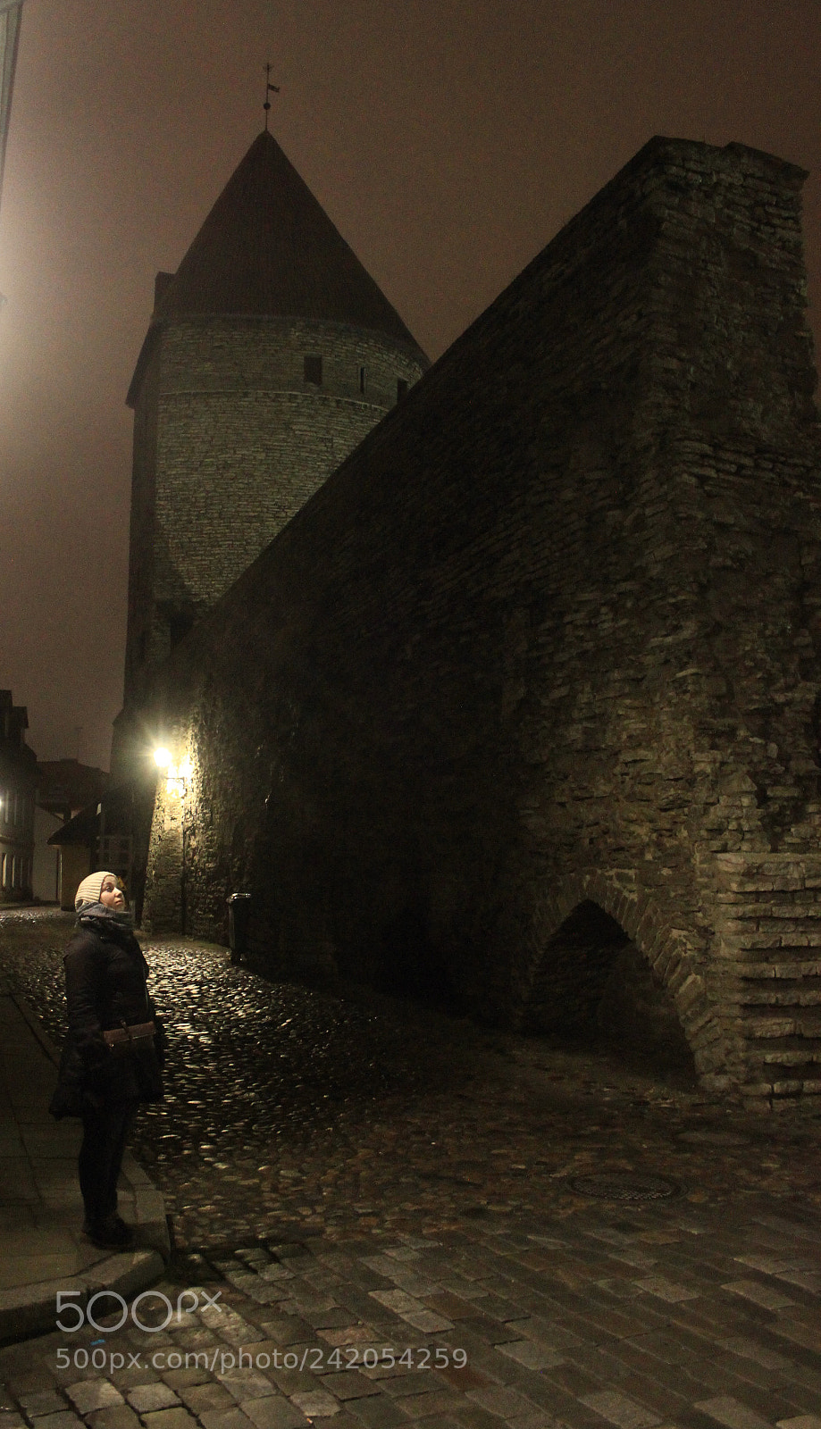 Canon EOS 500D (EOS Rebel T1i / EOS Kiss X3) sample photo. Old_tallin photography