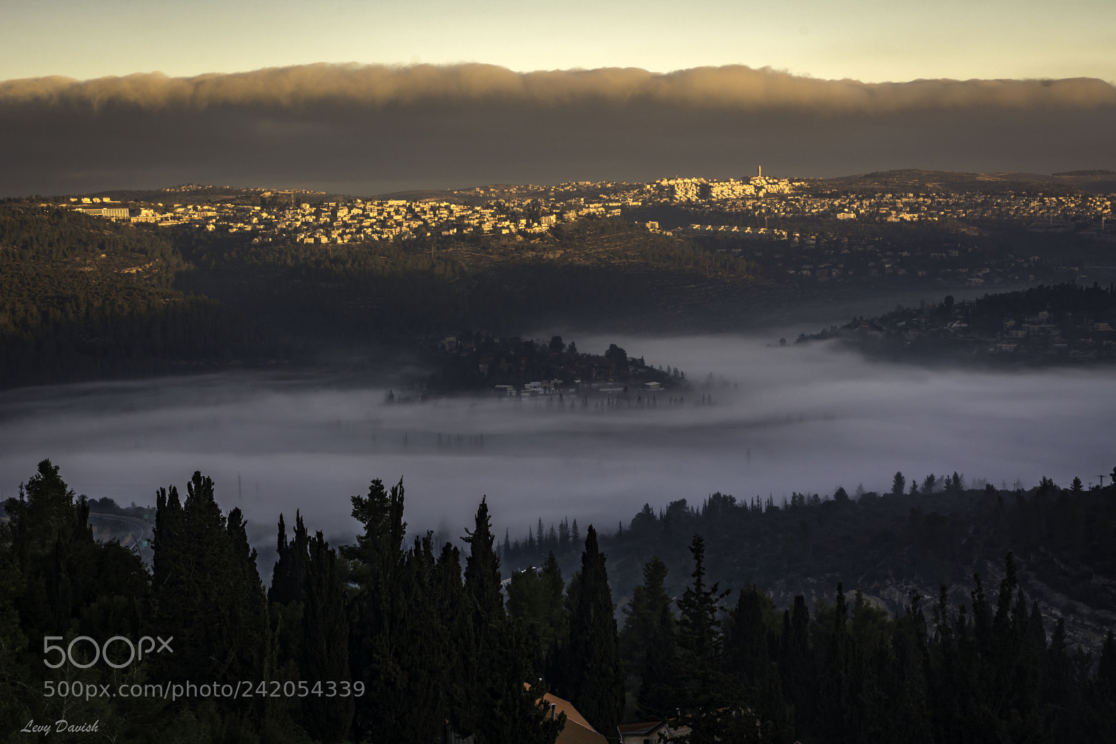 Nikon D7100 sample photo. Mist all over photography