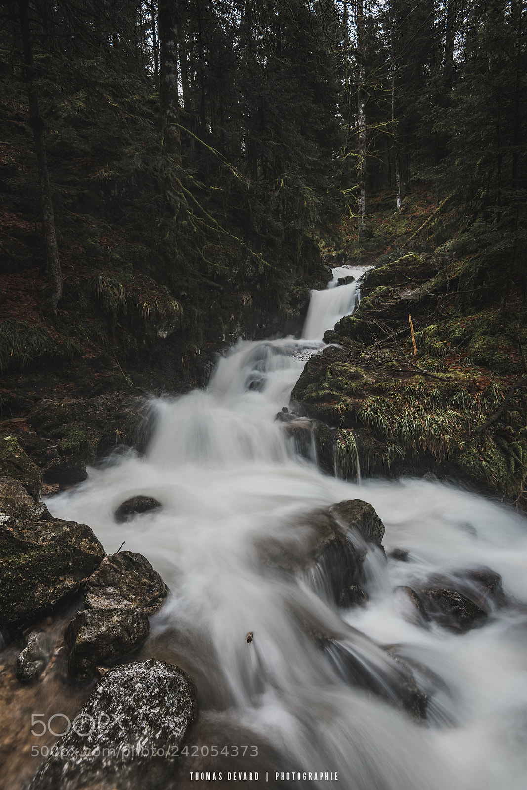 Nikon D810 sample photo. Cascade charlemagne photography