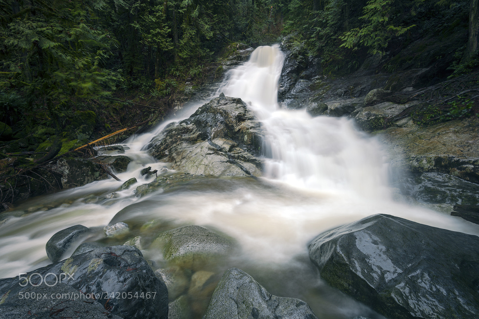 Nikon D850 sample photo. Falls magic photography