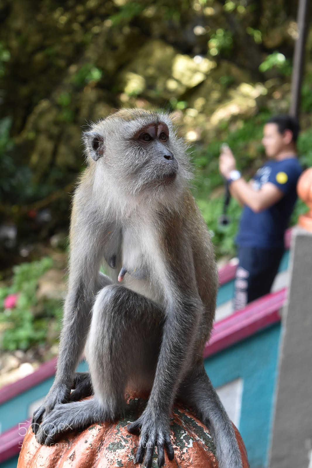 Nikon D5500 sample photo. Untitled photography