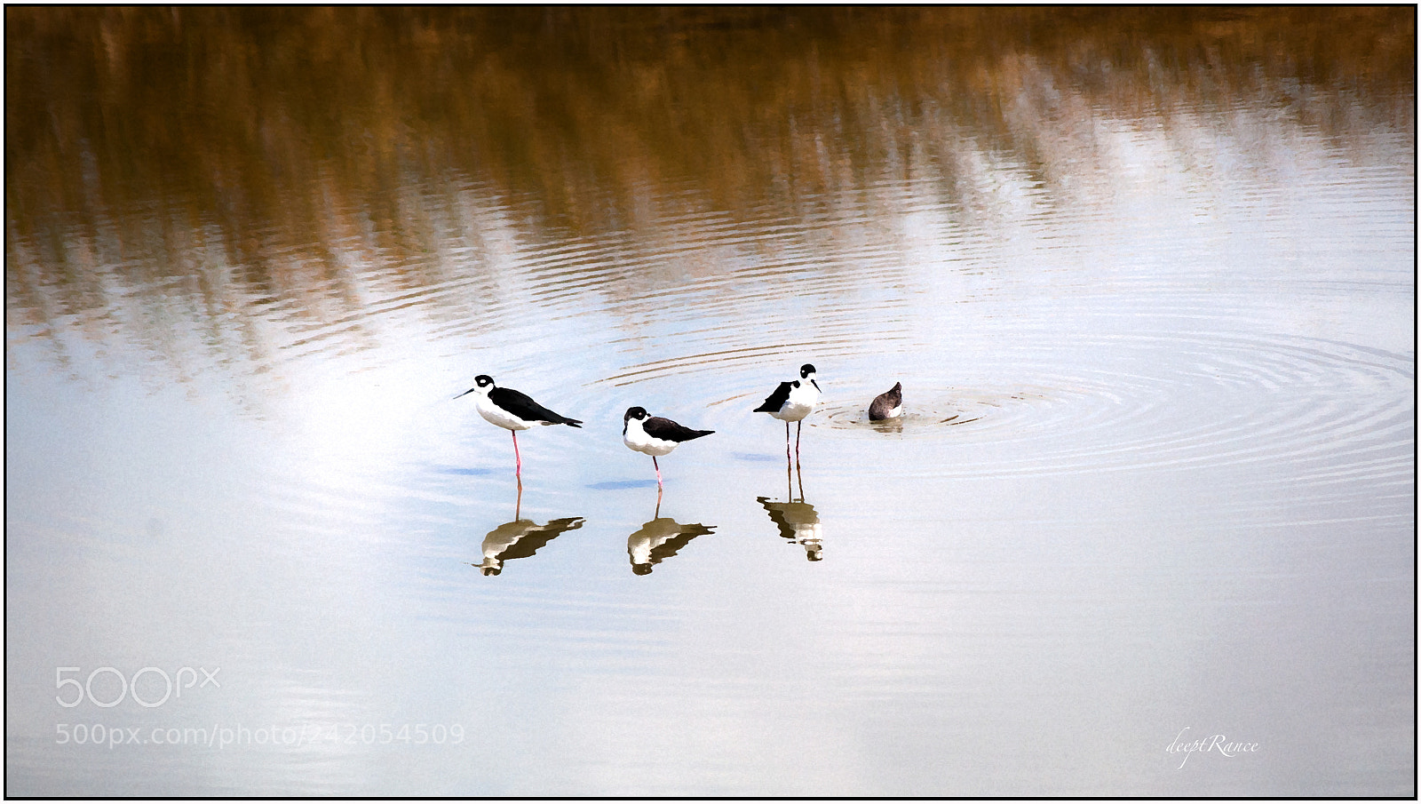 Nikon D5000 sample photo. Fitting in photography