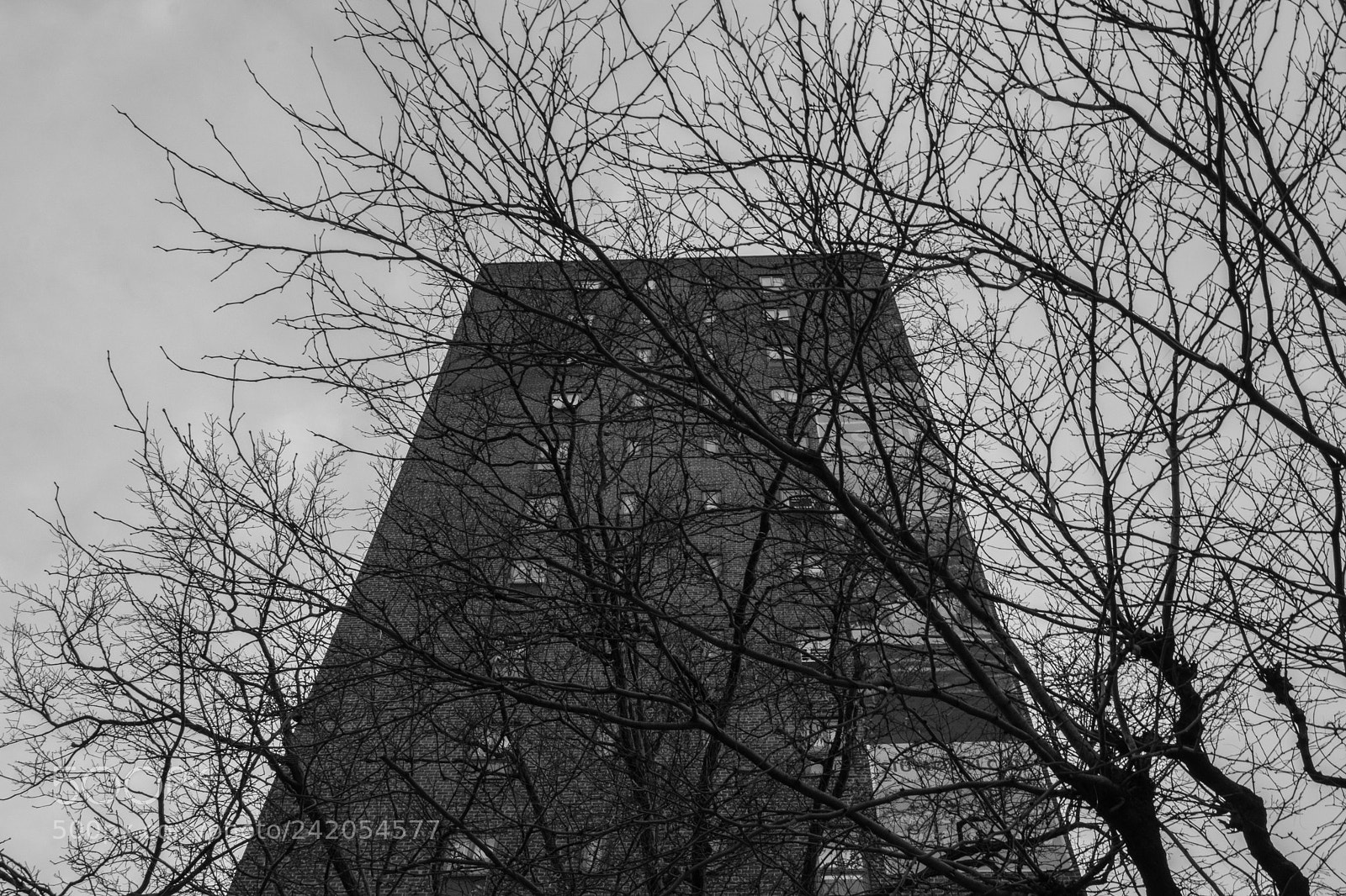 Fujifilm X-T2 sample photo. Building and tree photography