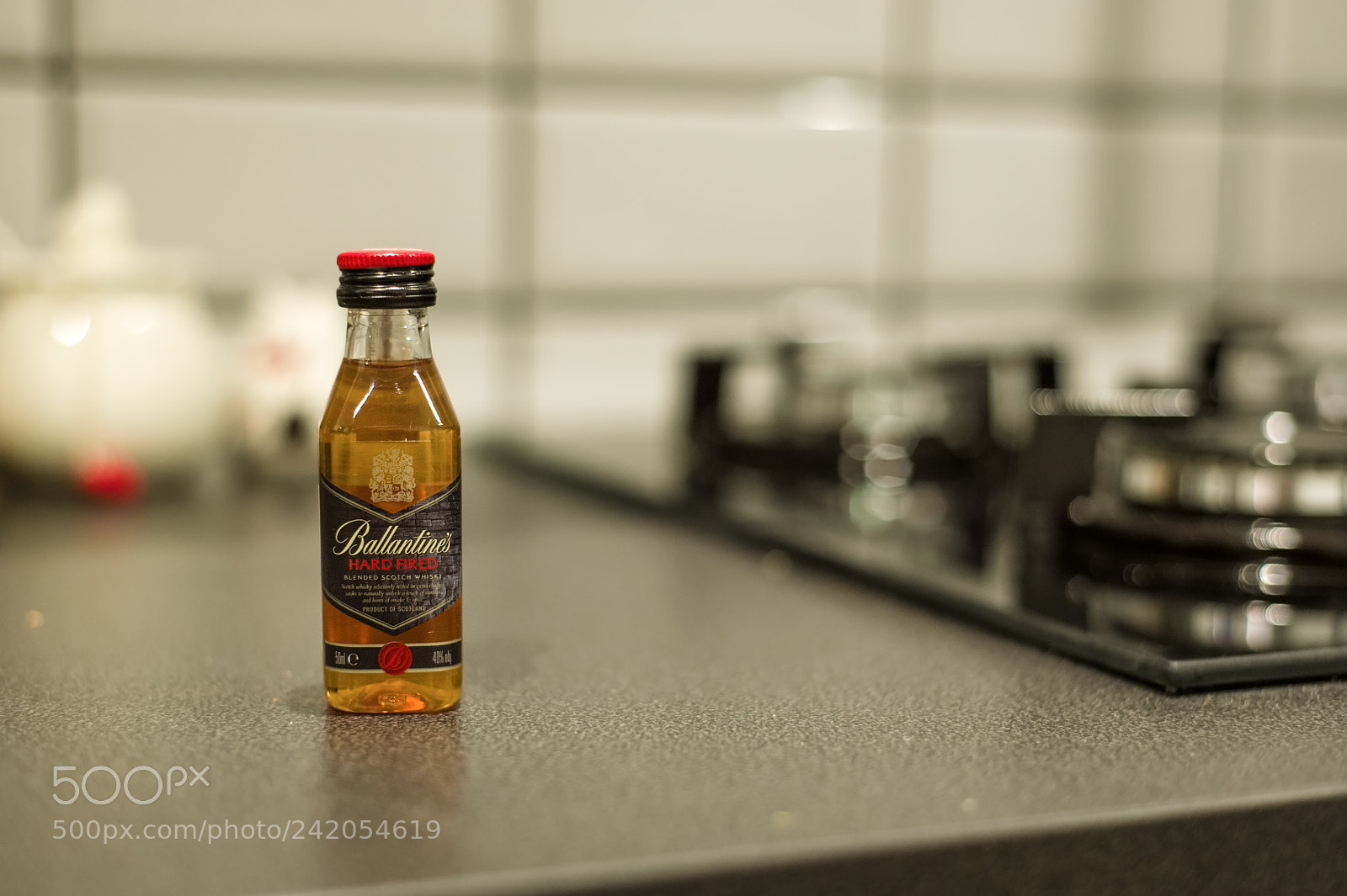 Nikon D700 sample photo. 10/365 photography