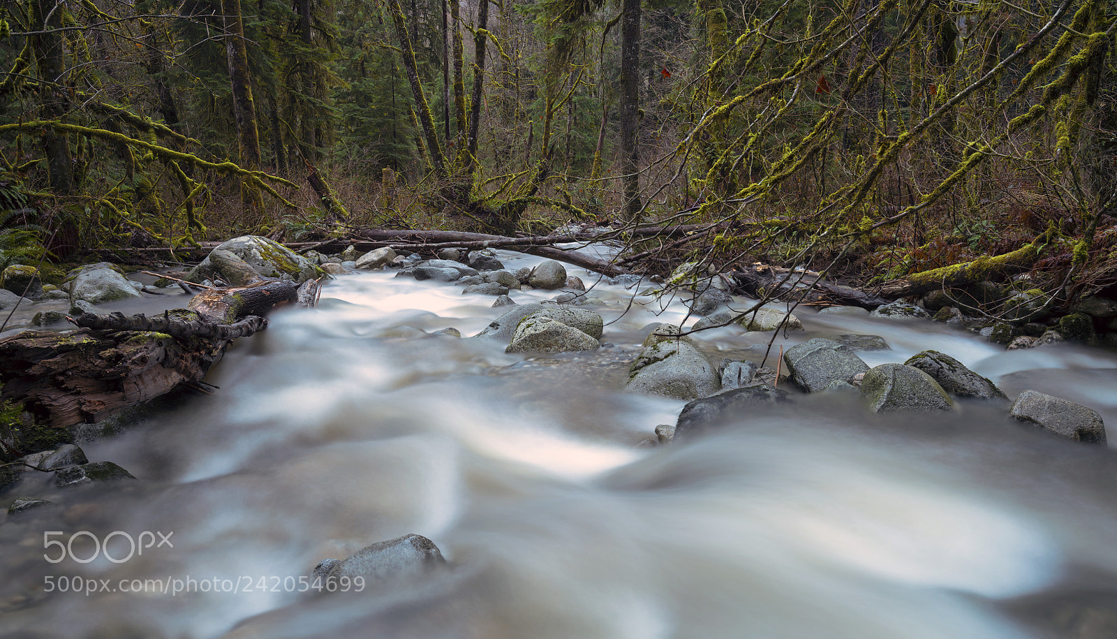 Nikon D850 sample photo. Love photography