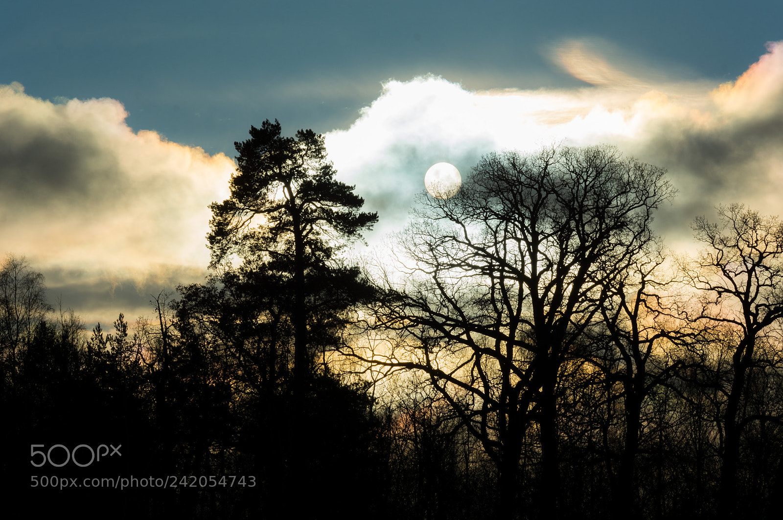 Nikon D7100 sample photo. Sky on fire photography