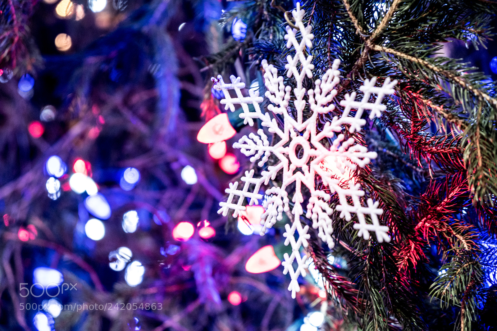Fujifilm X-T2 sample photo. Snow star photography