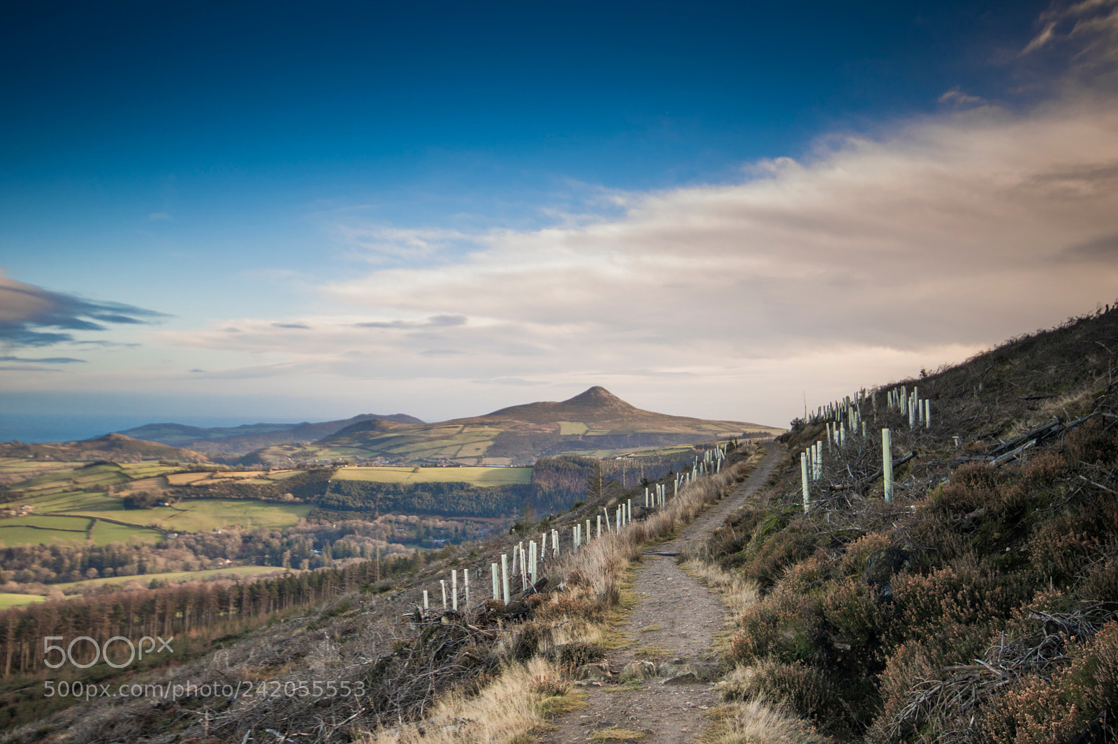 Canon EOS 760D (EOS Rebel T6s / EOS 8000D) sample photo. Great sugar loaf photography