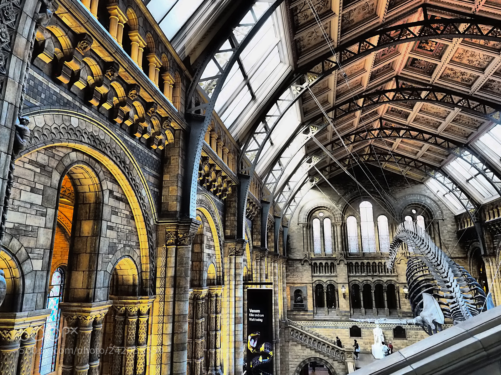 Olympus OM-D E-M5 II sample photo. A different perspective photography