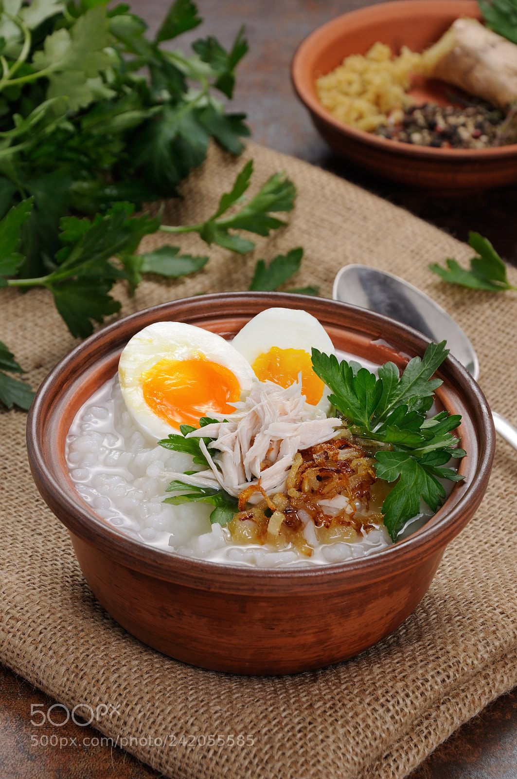 Nikon D90 sample photo. Rice  porridge with egg photography