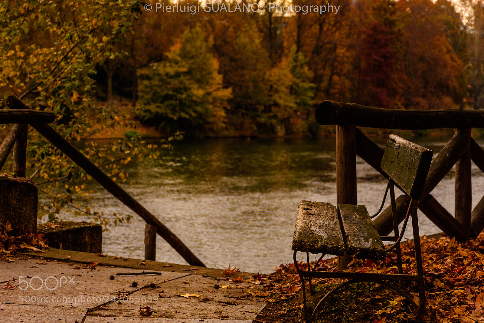 Nikon D7200 sample photo. Autumn photography
