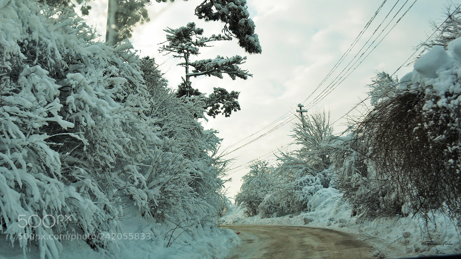 Nikon D7100 sample photo. Fbi photography