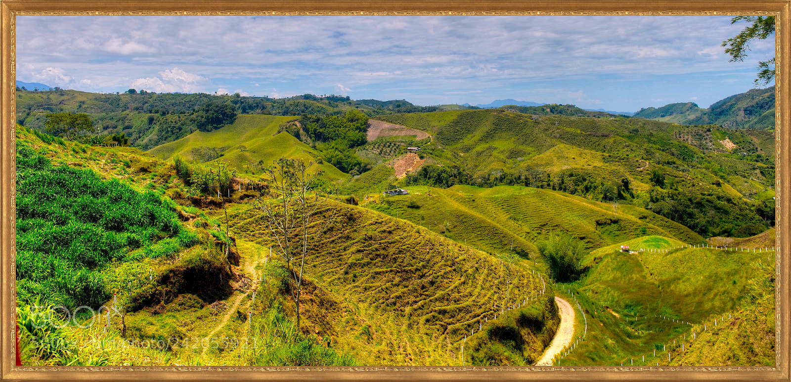 Nikon D700 sample photo. Colombia, departamento del tolima photography
