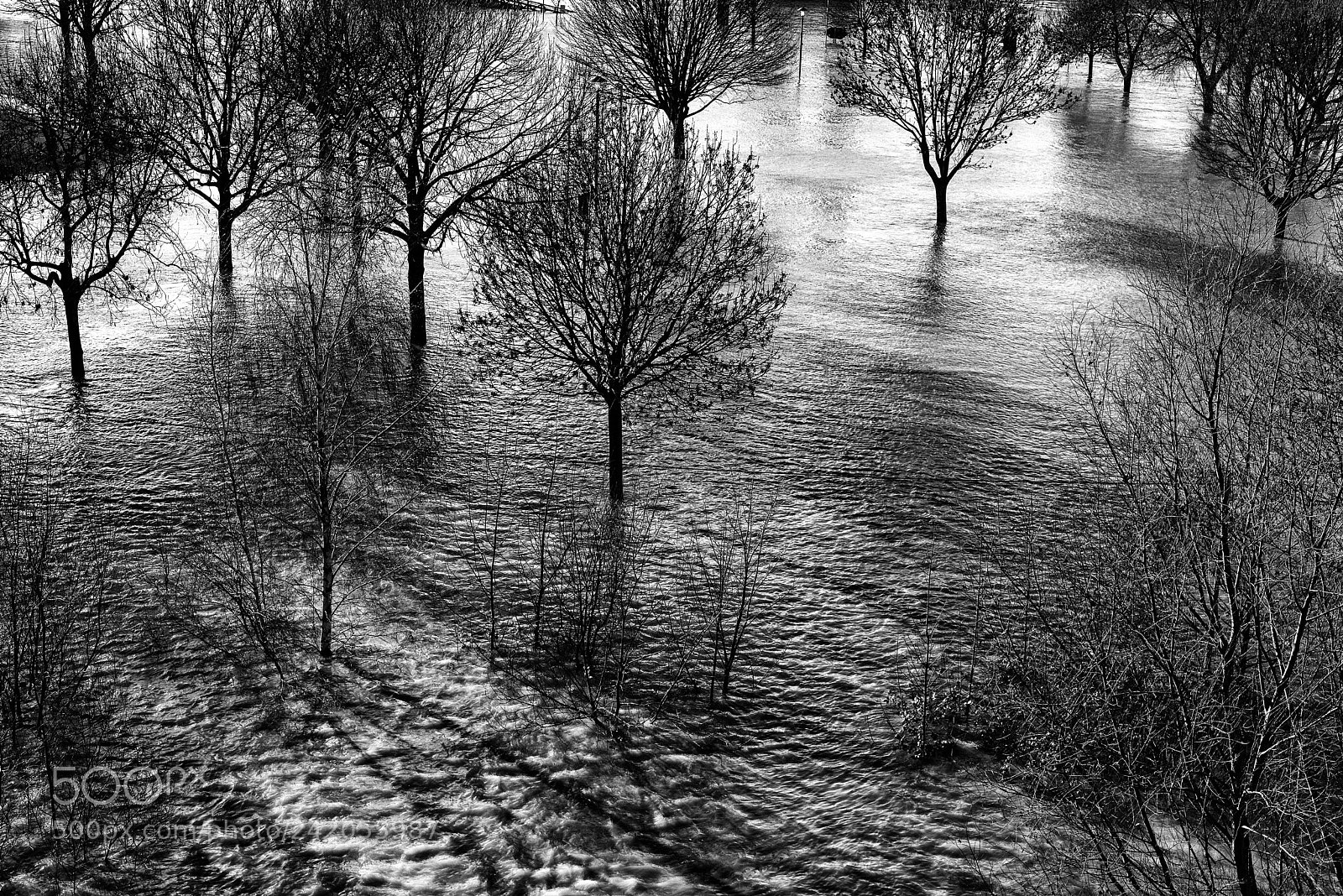 Nikon D750 sample photo. Winter flood of river photography