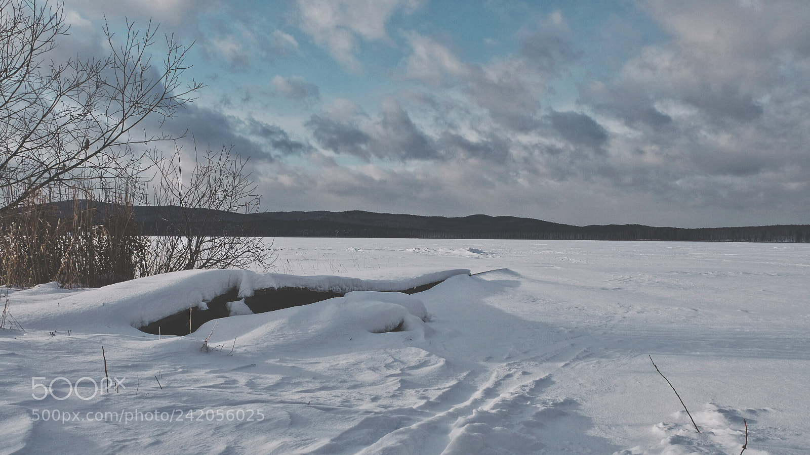 Fujifilm X-T20 sample photo. Untitled photography