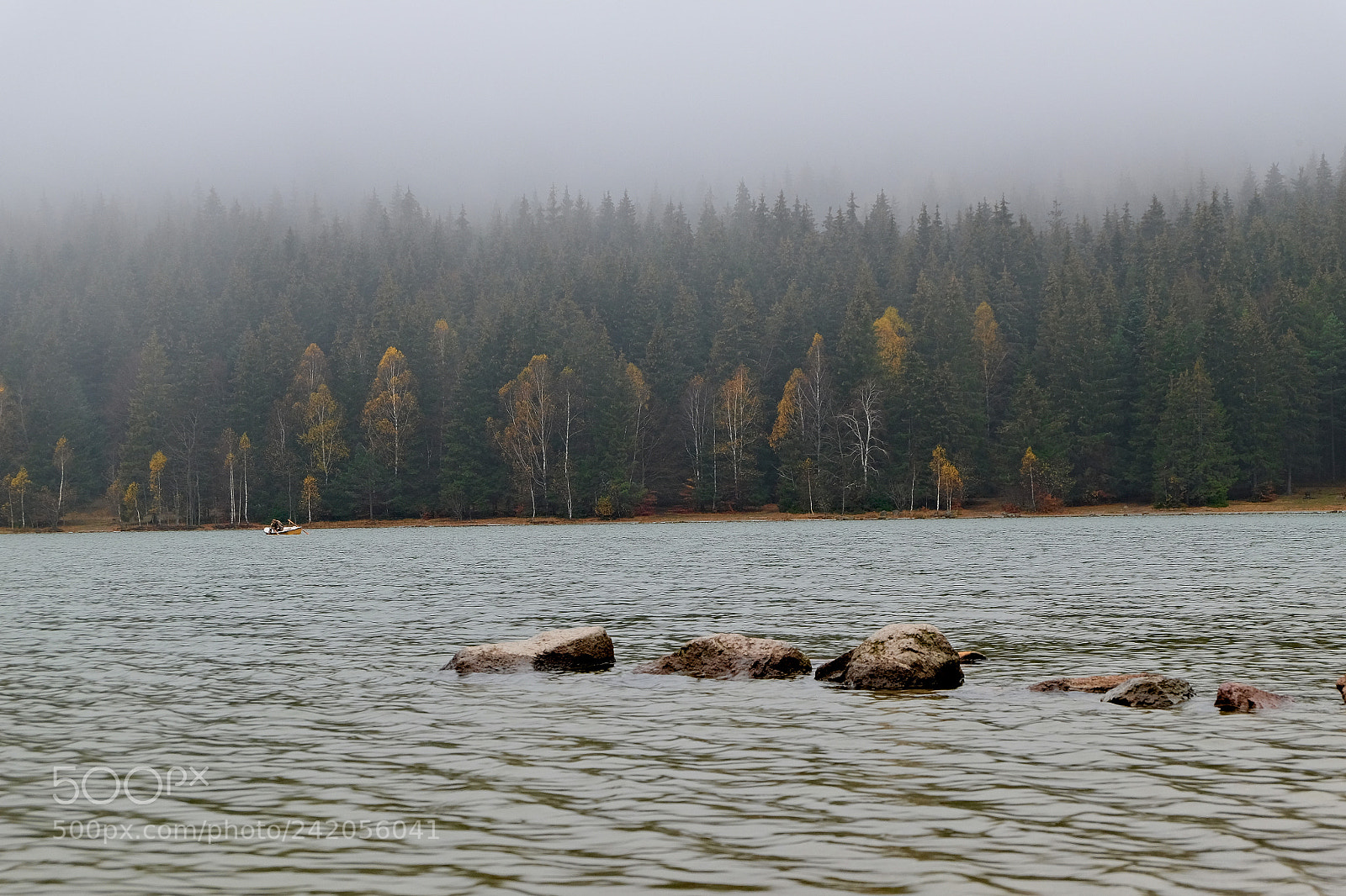 Fujifilm X-T10 sample photo. Untitled photography