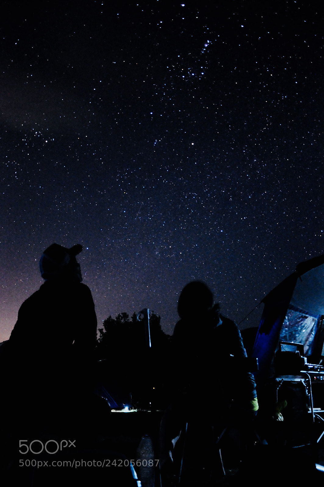 Nikon D90 sample photo. Looking at orion s photography