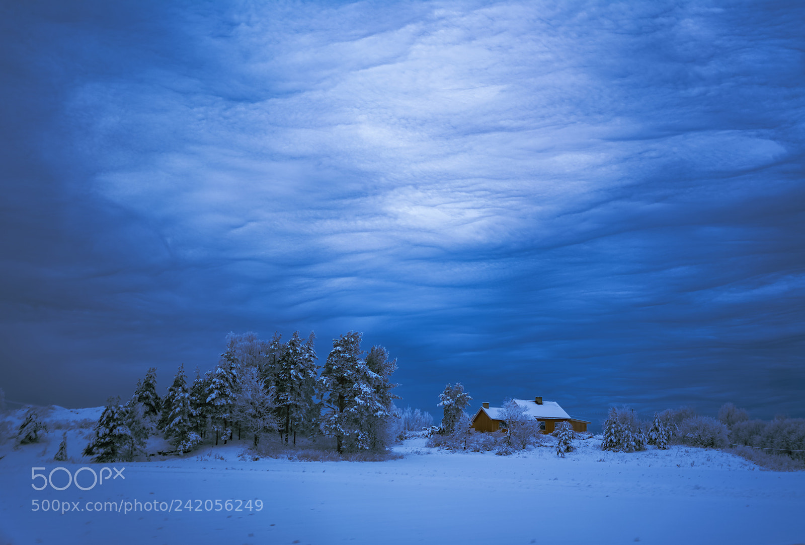 Sony a7 II sample photo. House in a white photography