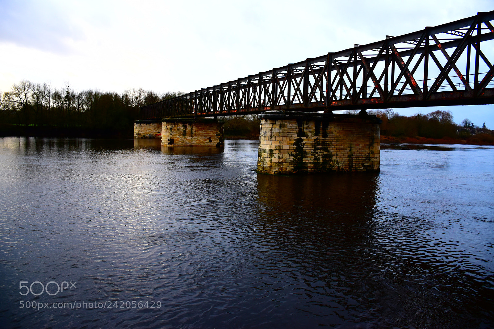 Nikon D5600 sample photo. Nature – chinon fr photography