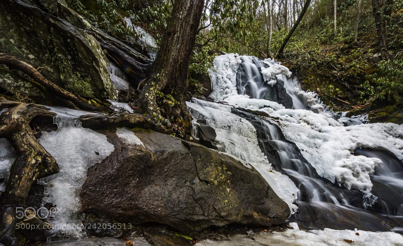 Nikon D7200 sample photo. Laurel falls photography