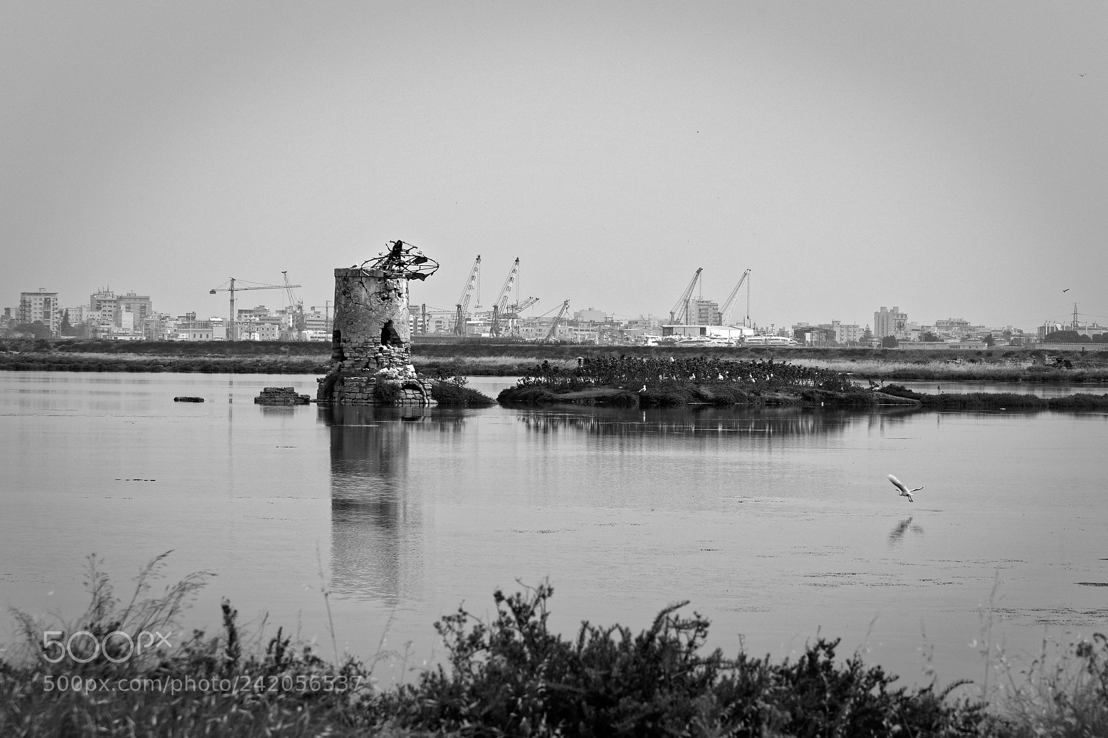 Canon EOS 6D + Canon EF 24-105mm F4L IS USM sample photo. Trapani saline 3 photography