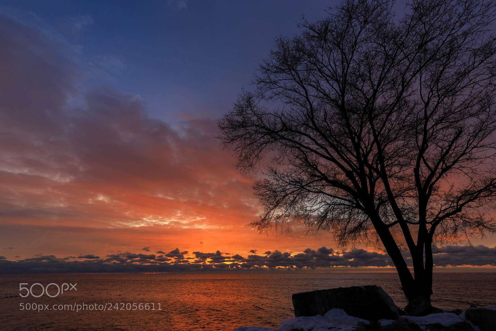 Canon EOS 6D Mark II sample photo. Sky on fire photography