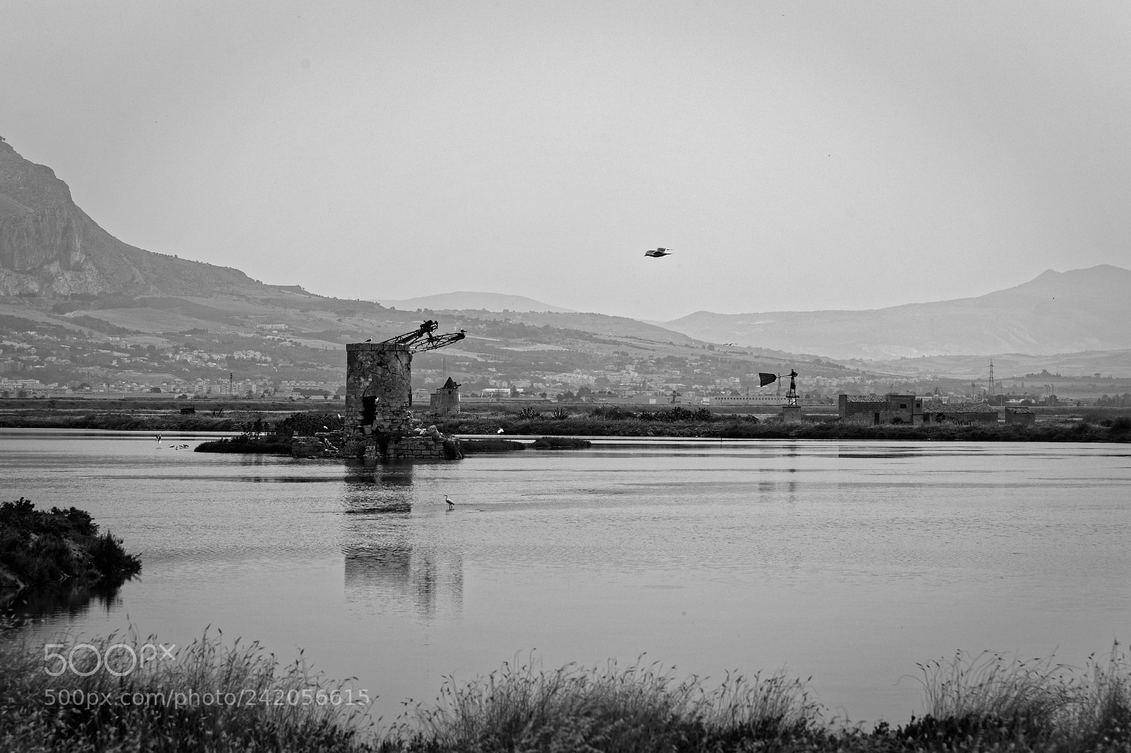 Canon EOS 6D + Canon EF 24-105mm F4L IS USM sample photo. Trapani saline 2 photography