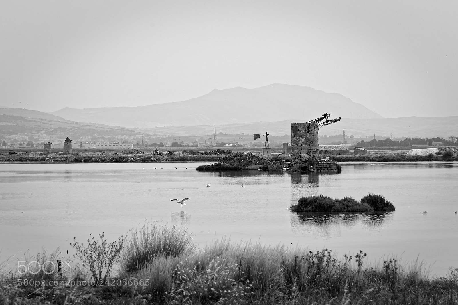 Canon EOS 6D + Canon EF 24-105mm F4L IS USM sample photo. Trapani saline 1 photography