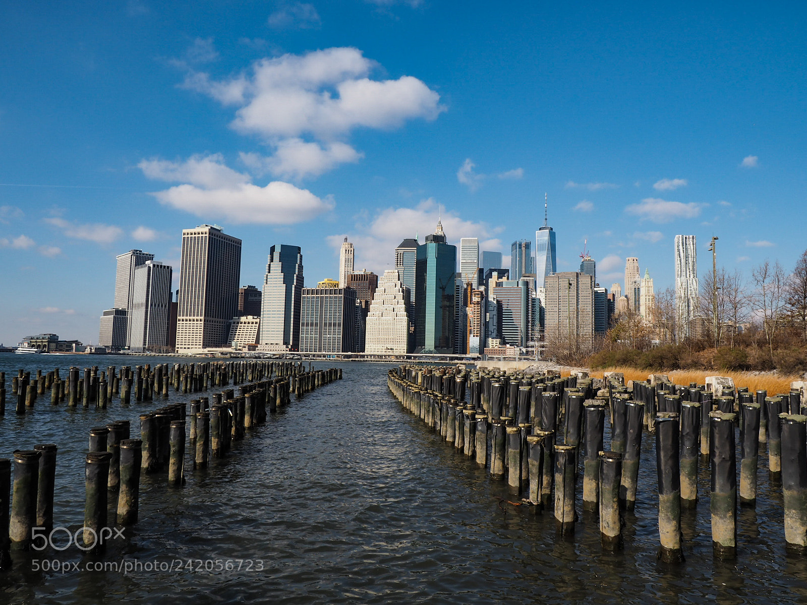 Olympus OM-D E-M5 II sample photo. Skyline photography