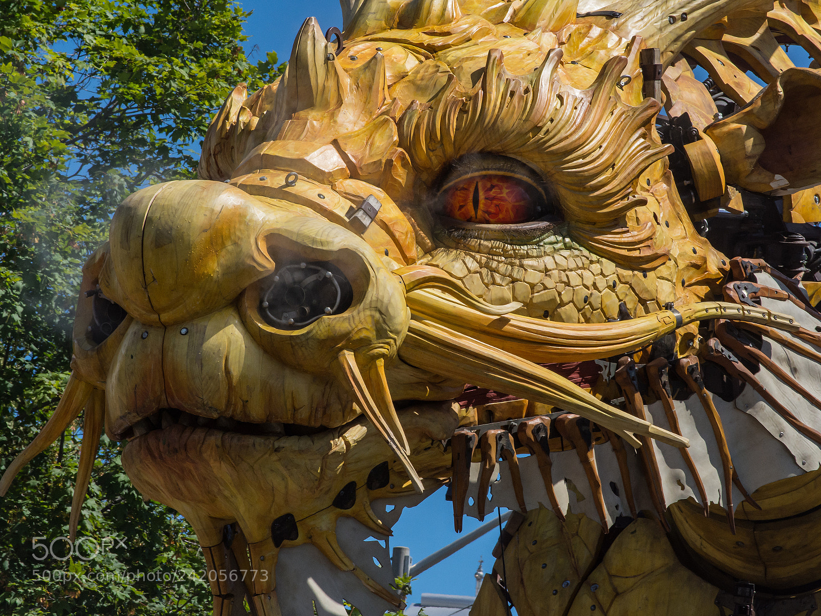 Nikon D7200 sample photo. A dragon - up photography