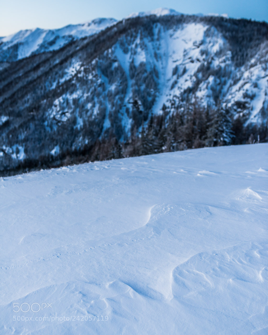 Nikon D800 sample photo. Shapes of snow photography