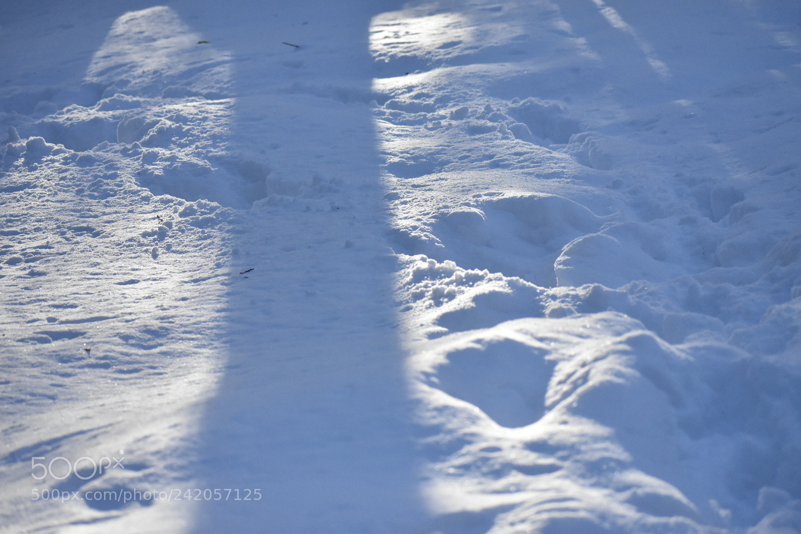 Nikon D3400 sample photo. Trace laissée photography