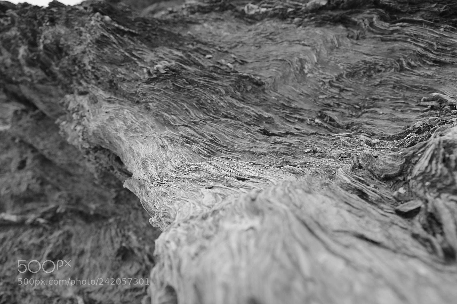 Canon EOS 550D (EOS Rebel T2i / EOS Kiss X4) sample photo. Img photography