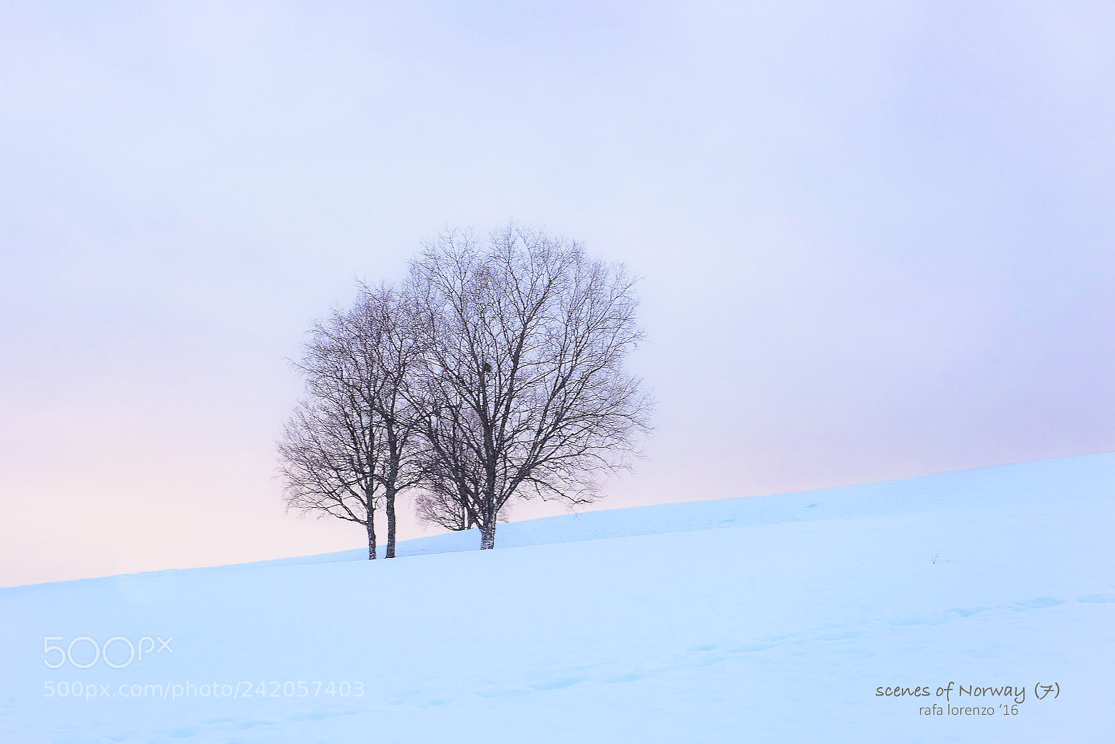 Nikon D810 sample photo. Scenes of norway (7) photography
