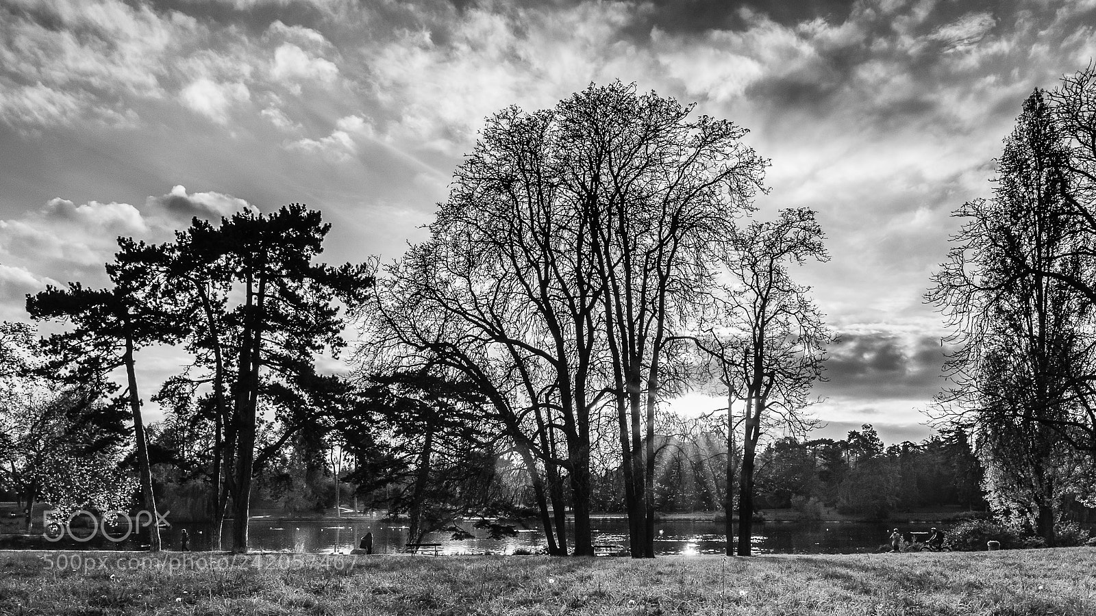 Panasonic Lumix DMC-GX85 (Lumix DMC-GX80 / Lumix DMC-GX7 Mark II) sample photo. Bois de vincennes photography