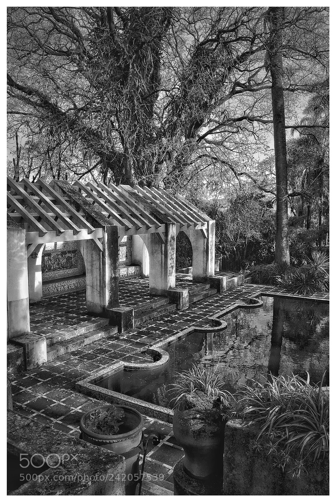 Nikon D60 sample photo. A part of the photography