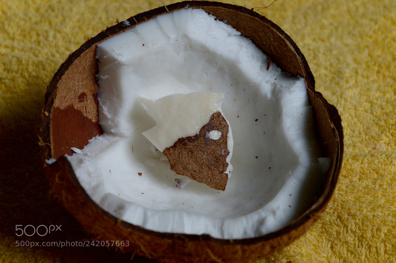 Nikon D3200 sample photo. Coconut from bahia photography
