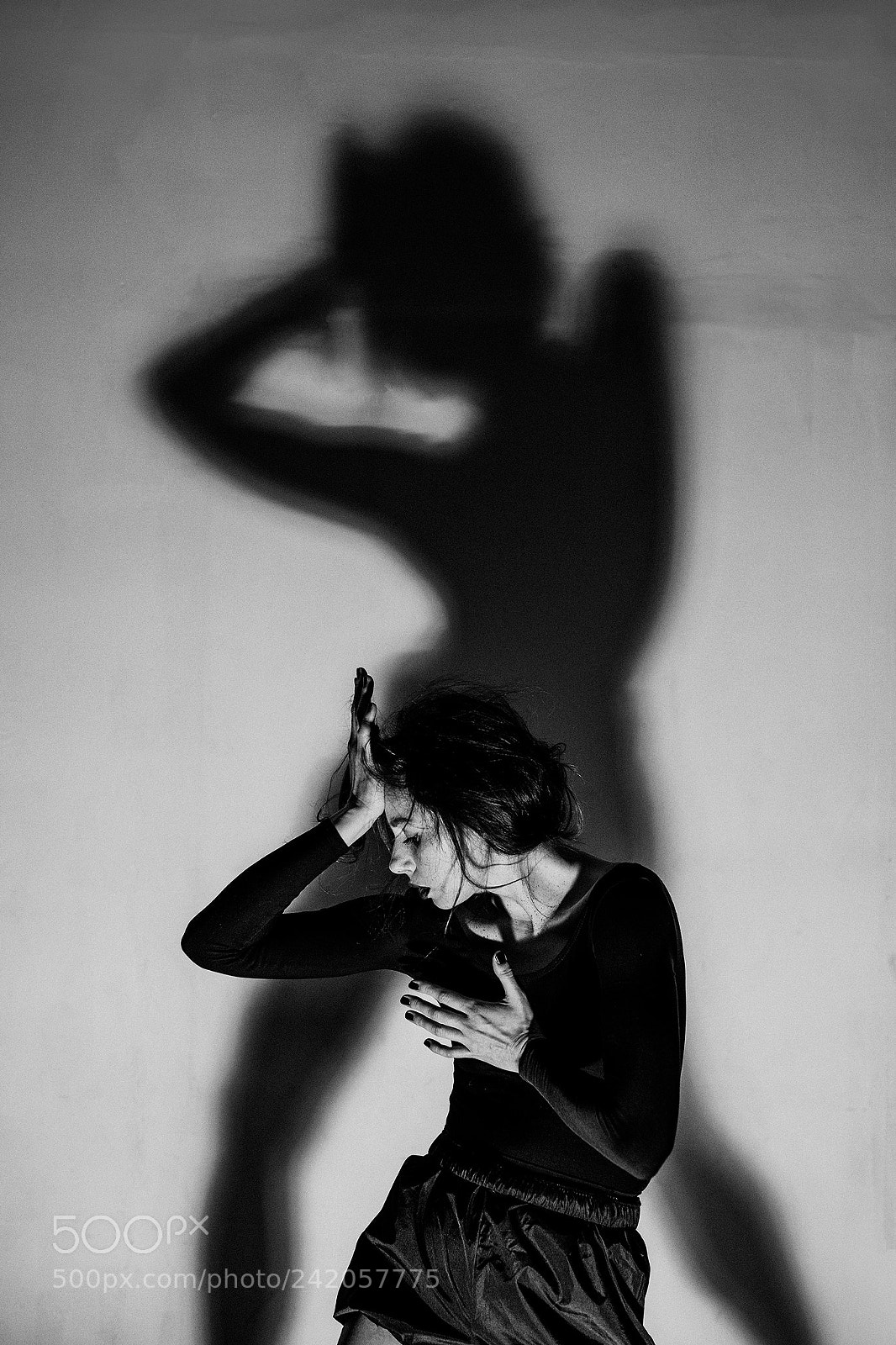 Nikon D800 sample photo. Shadow photography