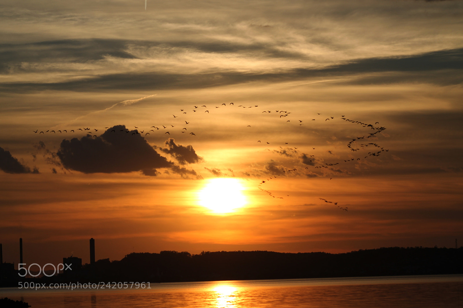 Canon EOS 1100D (EOS Rebel T3 / EOS Kiss X50) + EF75-300mm f/4-5.6 sample photo. Sunset flock photography