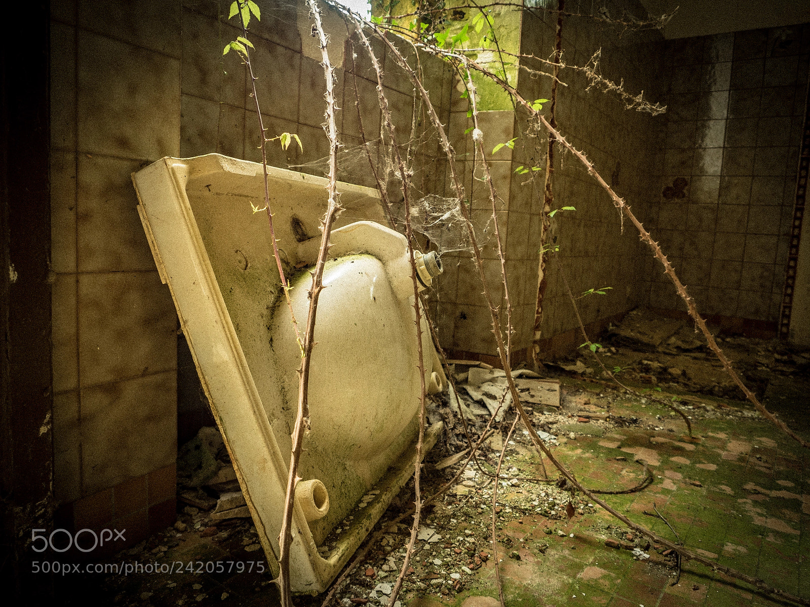 Olympus OM-D E-M5 II sample photo. Hotel abandonné photography