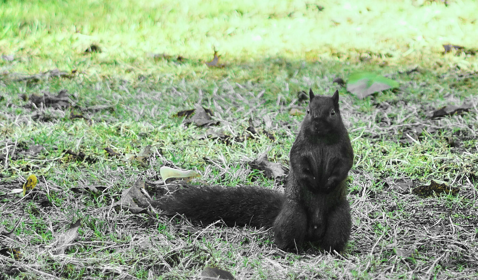 Sony a6500 sample photo. Oh boy... photography