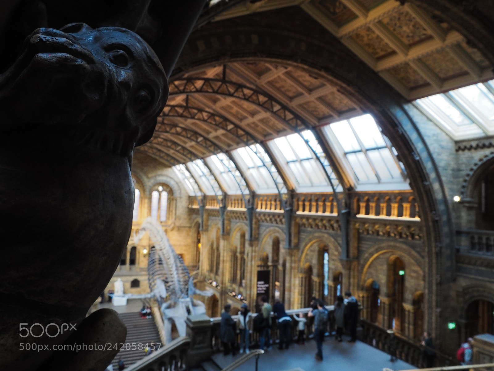 Olympus OM-D E-M5 II sample photo. Monkey and the whale photography