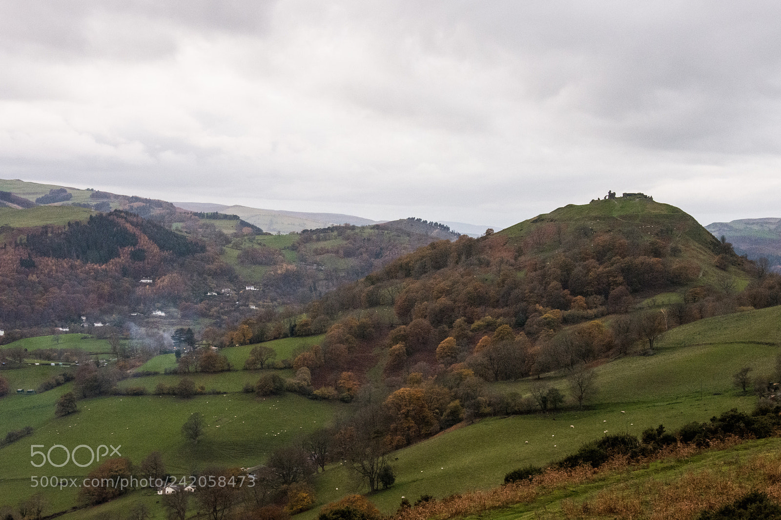 Nikon D7200 sample photo. A scenic drive panorama photography