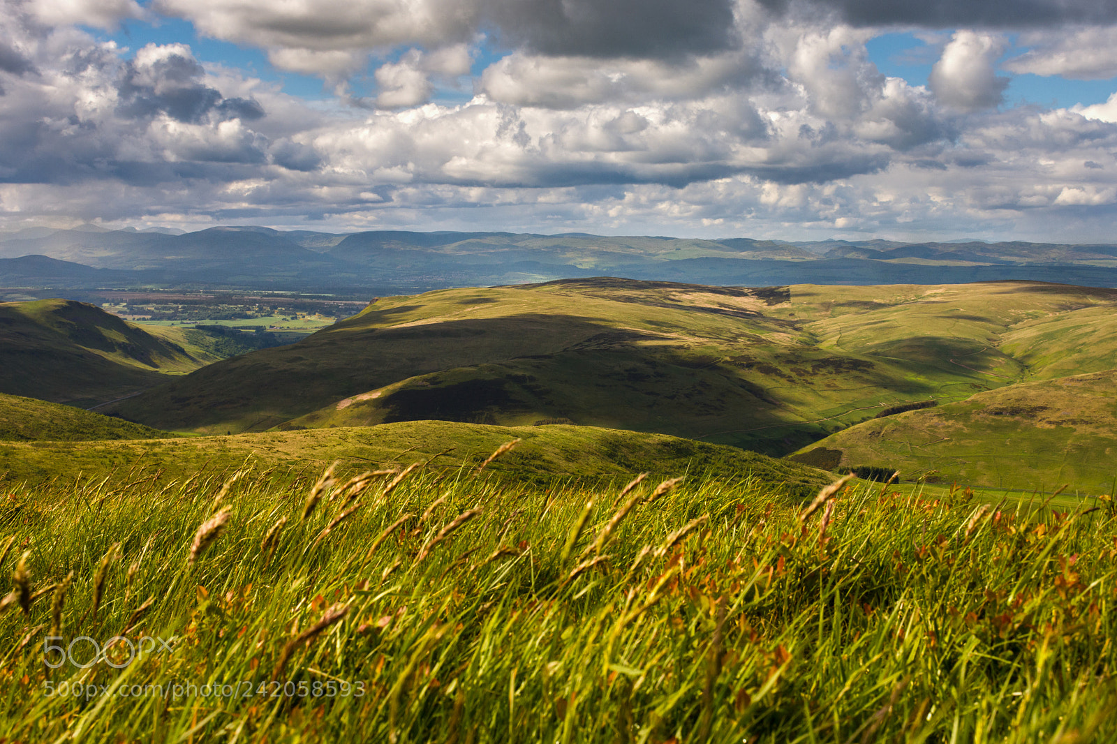 Nikon D7200 sample photo. Innerdownie hill. photography
