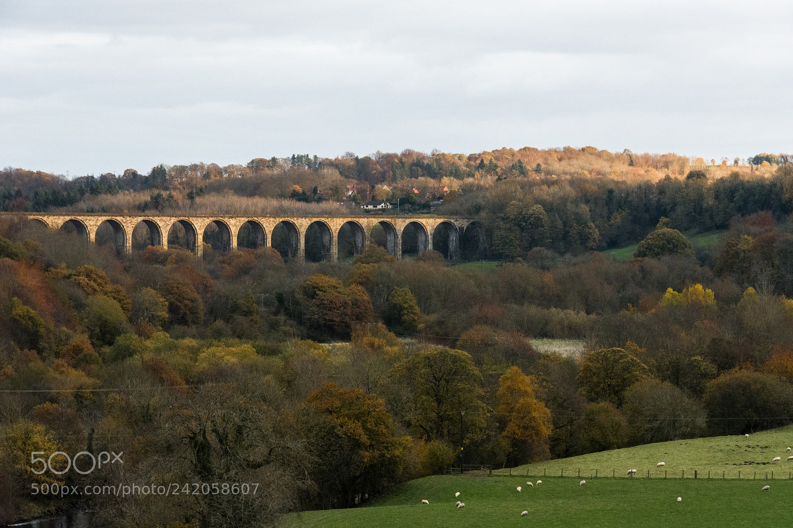 Nikon D7200 sample photo. Bathed in the setting photography