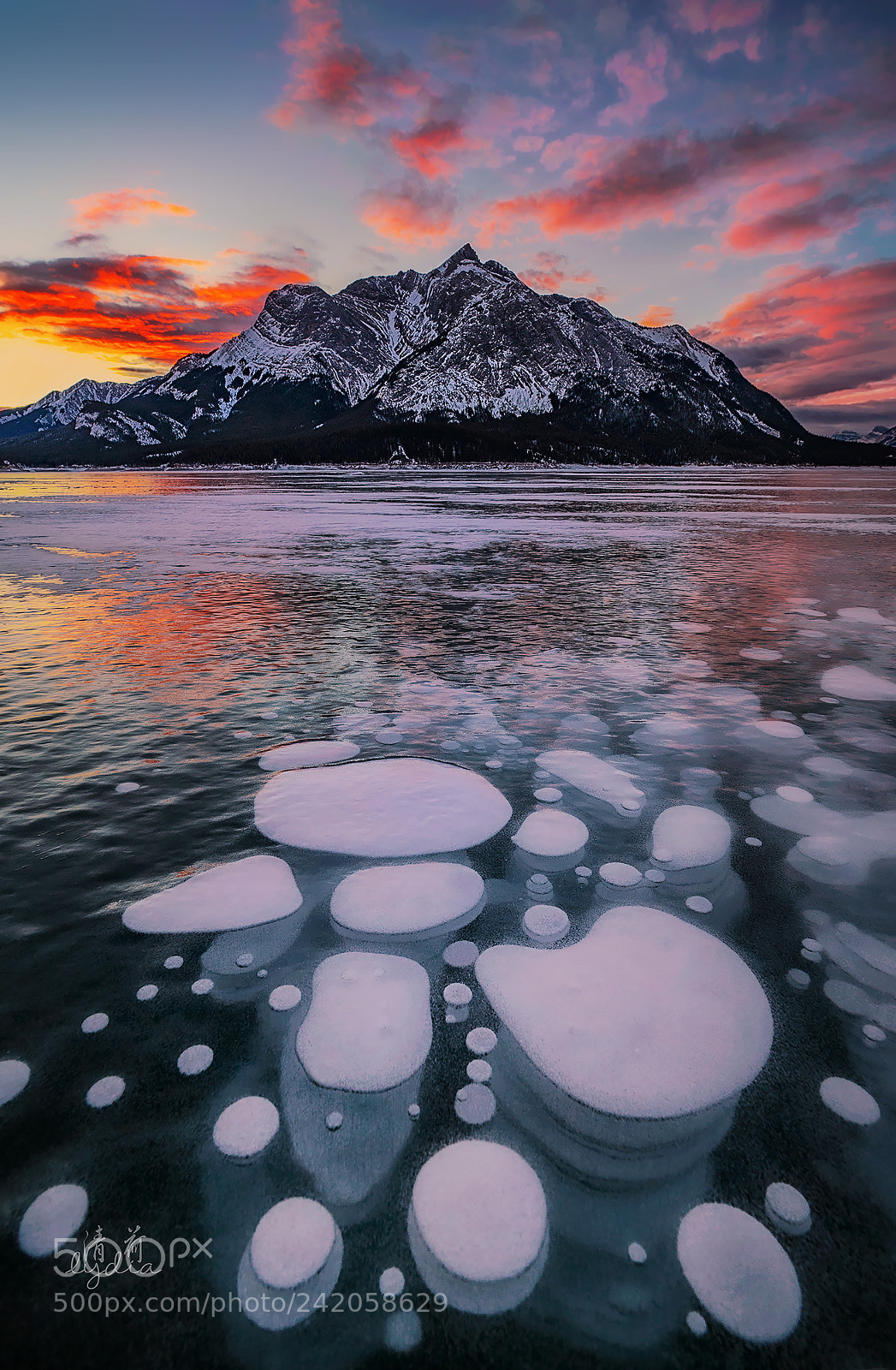Sony a9 sample photo. Frozen bubbles photography